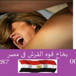 Shark power spray in Egypt01023678560