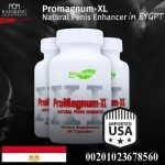 أفضل منشط للعضو الذكري _ Best penis stimulant
