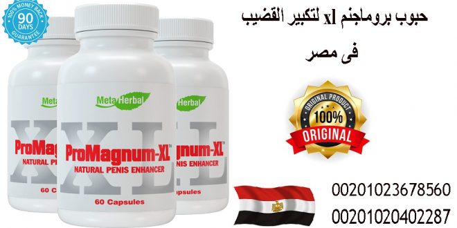 أقوى حبوب تكبير القضيب فى مصر _Promagnum-XL أقوى حبوب تكبير القضيب فى مصر _Promagnum-XL